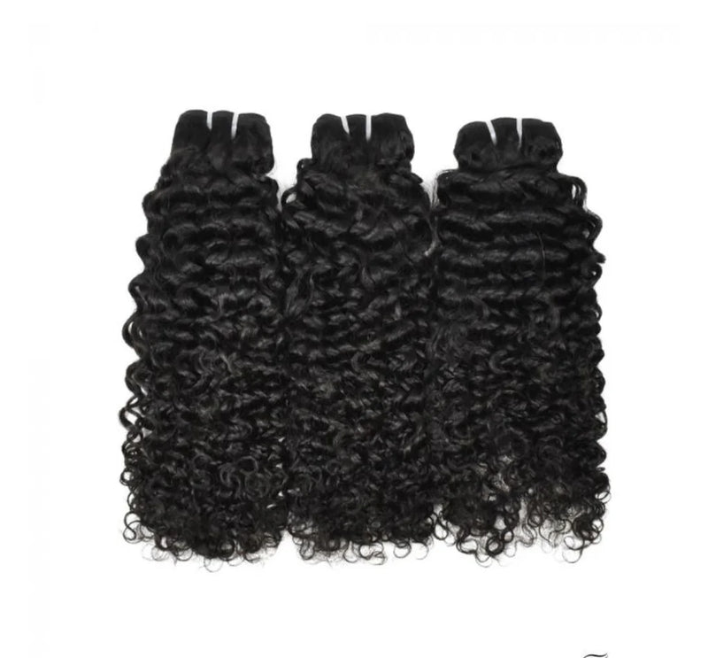 Burmese Curly Bundle Deals